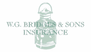 Bridges Insurance Group LLC