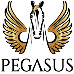 Pegasus Insurance Agency