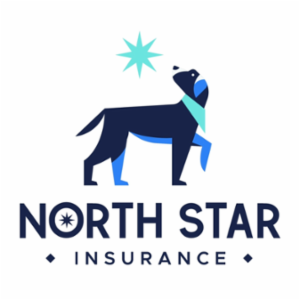 North Star Insurance LLC's logo
