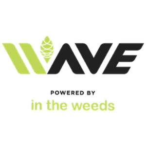 Wave Financial Partners Inc
