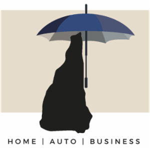 Davis & Towle Group