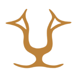 Lyons Risk Management's logo