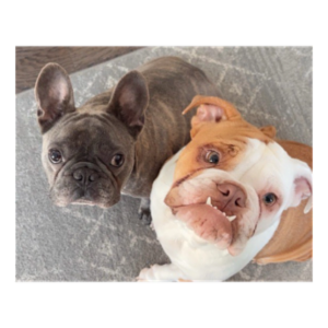 Titan and Zoey Chiefs of Happiness - Chief Operating Officer