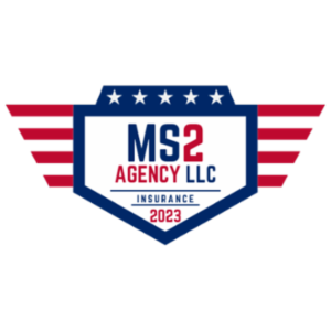MS2 Agency LLC:  Michael Scott's logo