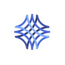 James Thomas - Director