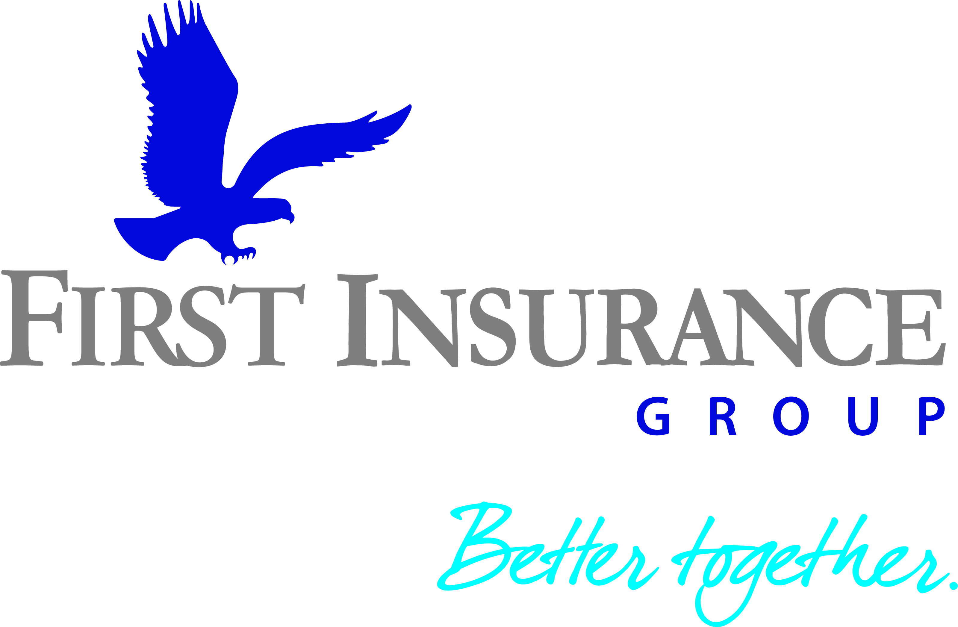 First Insurance Group