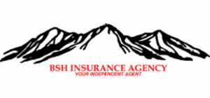 BSH Insurance Agency