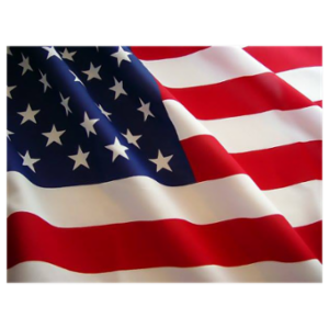 American Insuring Group Ltd