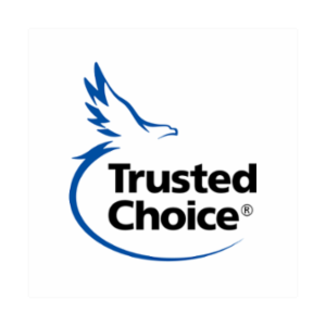 ED'S INSURANCE's logo