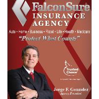 FalconSure, Inc.