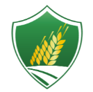 Taylor Insurance Services, LLC's logo