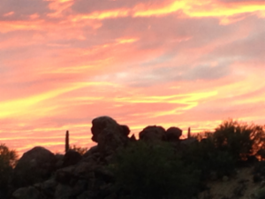 Troon Insurance Services, Inc.