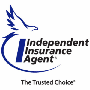 Vladika Insurance Agency