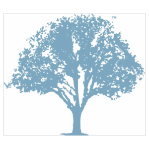 Lifetime Insurance Services Inc