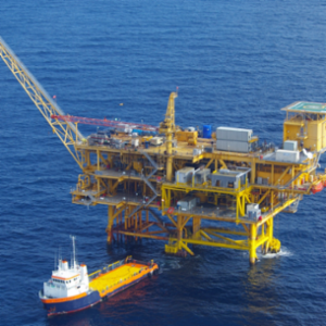 Petro-Marine Underwriters, Inc.