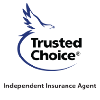 Advantage Insurance Group