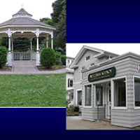Williams Agency