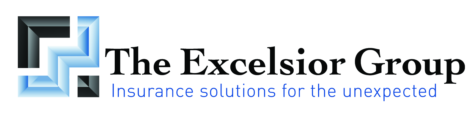 The Excelsior Group, Inc.