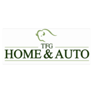 The Financial Guys Home and Auto, LLC