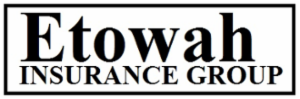 Etowah Insurance Group, Inc.