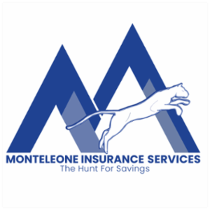 MONTELEONE ASSOCIATES LLC