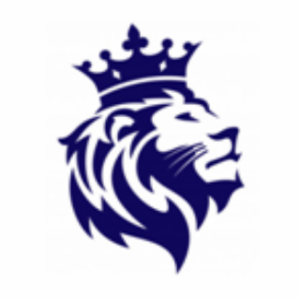 The Lavin Insurance Agency