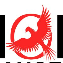 Anuar Morales - Owner