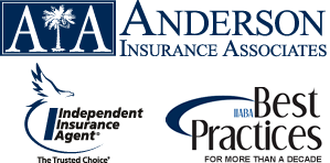 Anderson Ins Assocs Inc