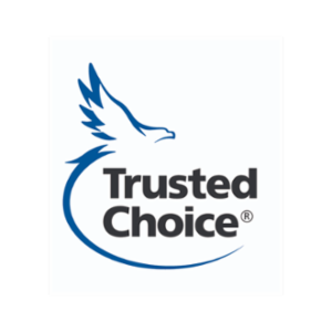 Southern Insurance Group's logo